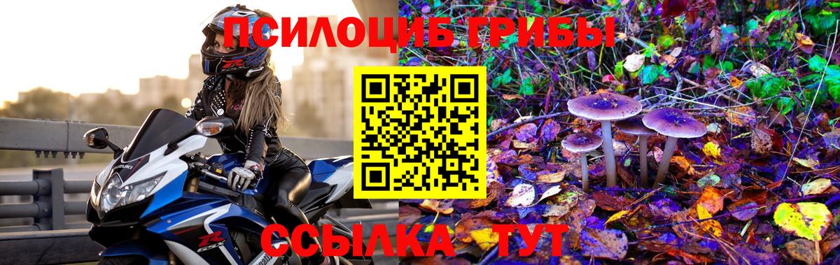 Орёл  Галлюциногенные грибы мицелий  Галлюциногенные грибы MAGIC MUSHROOMS  Вход с VPN 